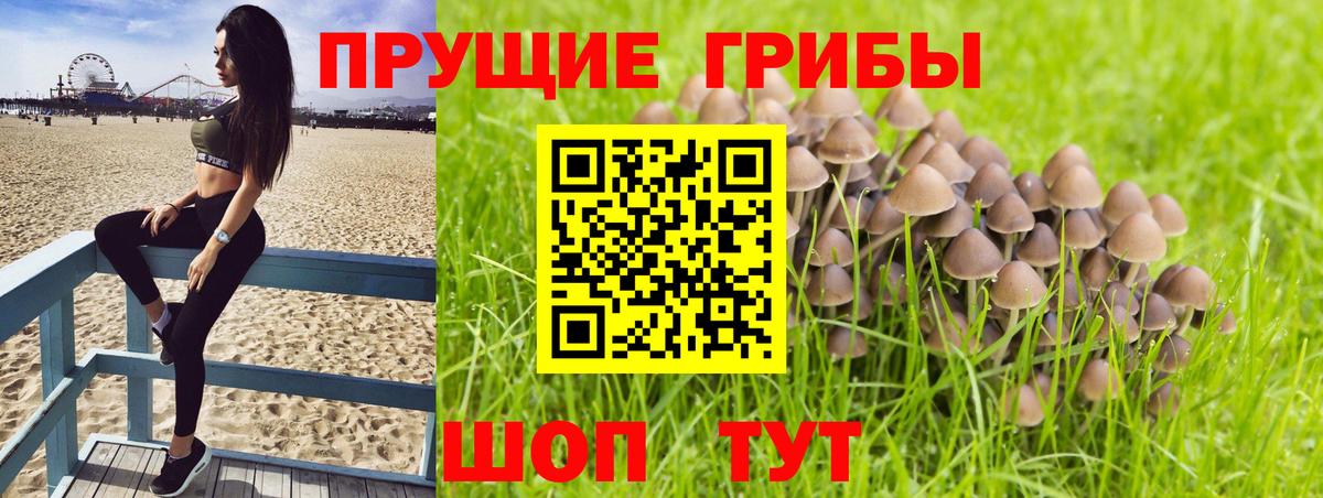 Галлюциногенные грибы GOLDEN TEACHER  Псилоцибиновые грибы Magic Shrooms  Вход с VPN  Ялта 