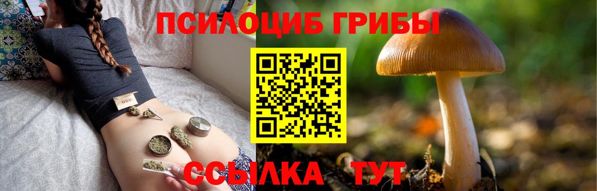 Галлюциногенные грибы прущие грибы Ялта